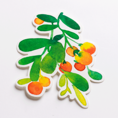 BERRY TREE vinyylitarra