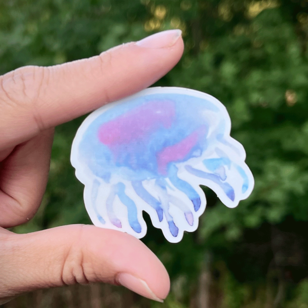 MEDUUSA vinyylitarra - Image 2