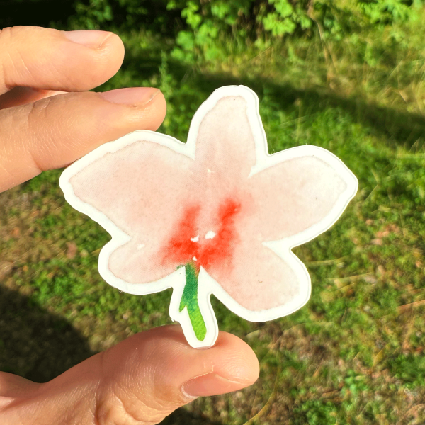 PINK ORCHID vinyylitarra